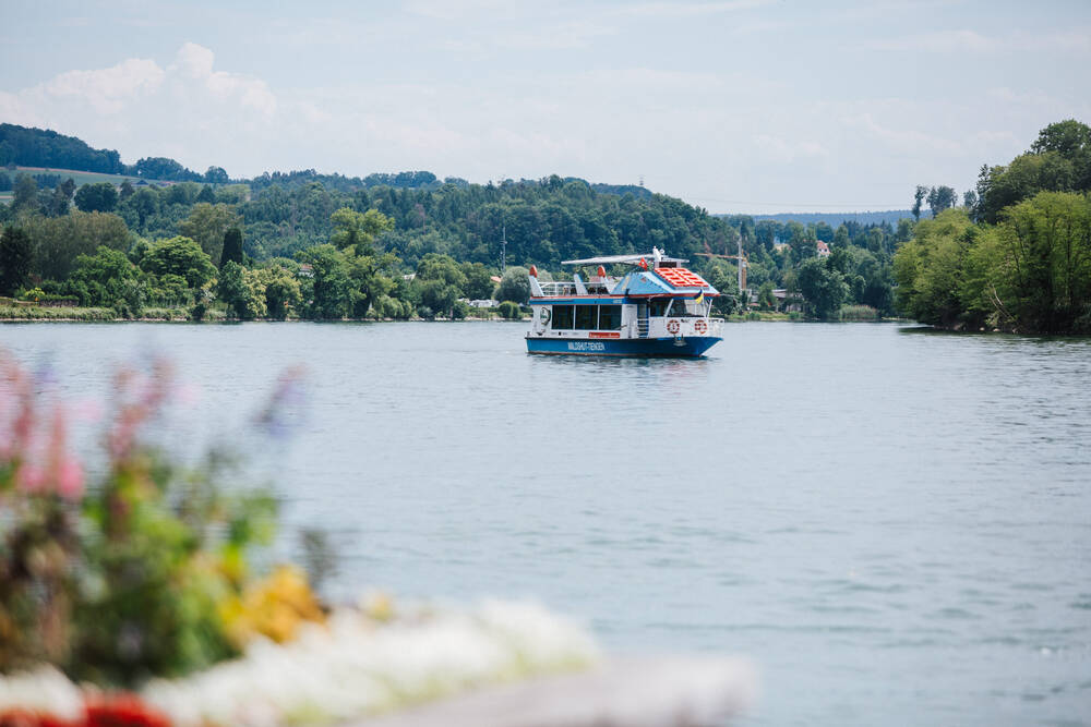 Gutschein Nachmittagsrundfahrt